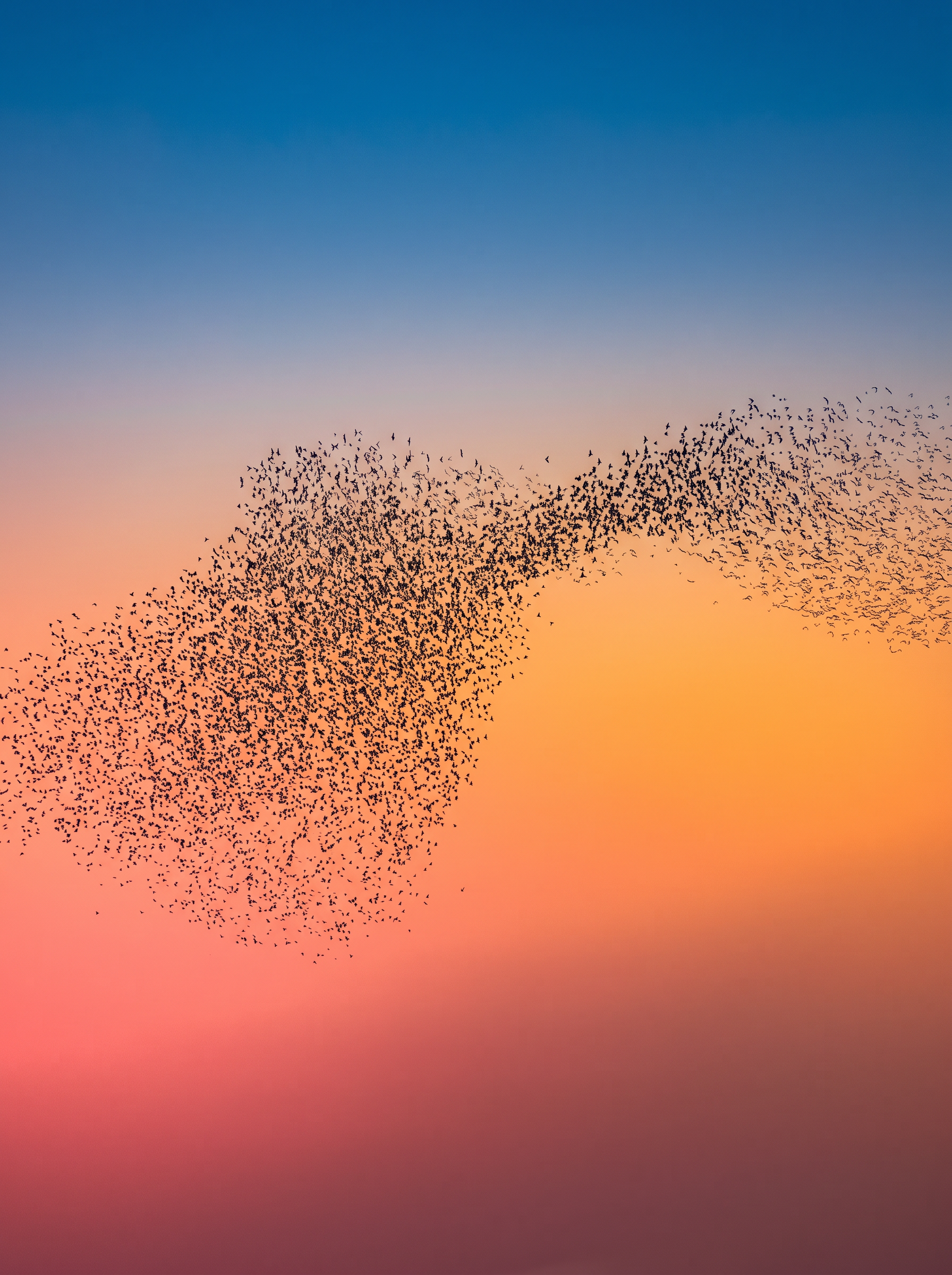 Bildmotiv zum Beitrag &bdquo;Der EPU Schwarm&ldquo; &mdash; KI-generiert (Adobe Firefly)