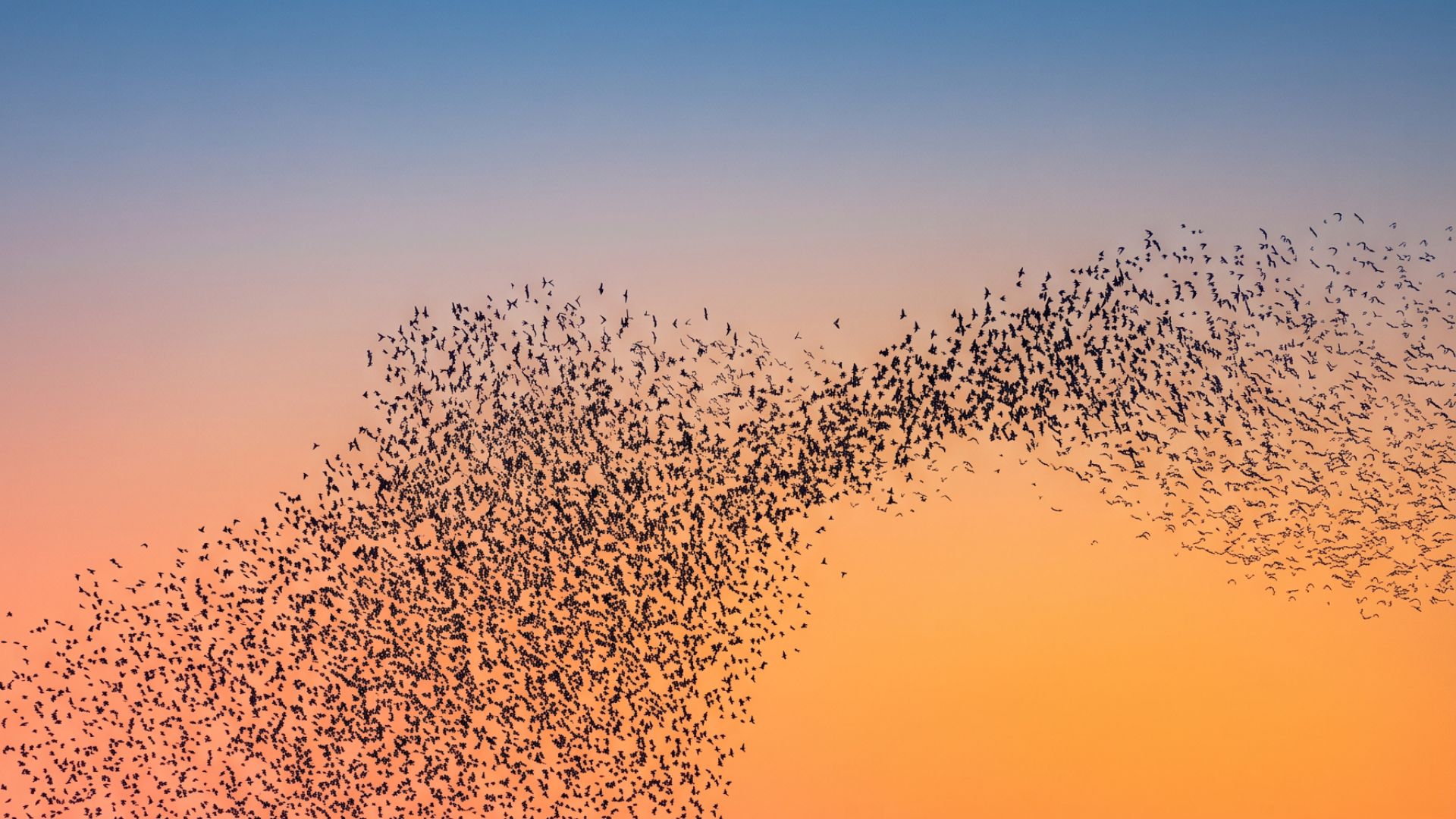 Bildmotiv zum Beitrag &bdquo;Der EPU Schwarm&ldquo;, KI-generiert mit Adobe Firefly